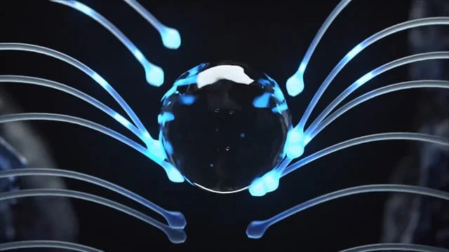 Ilohas - Nature by Design (Director's Cut)