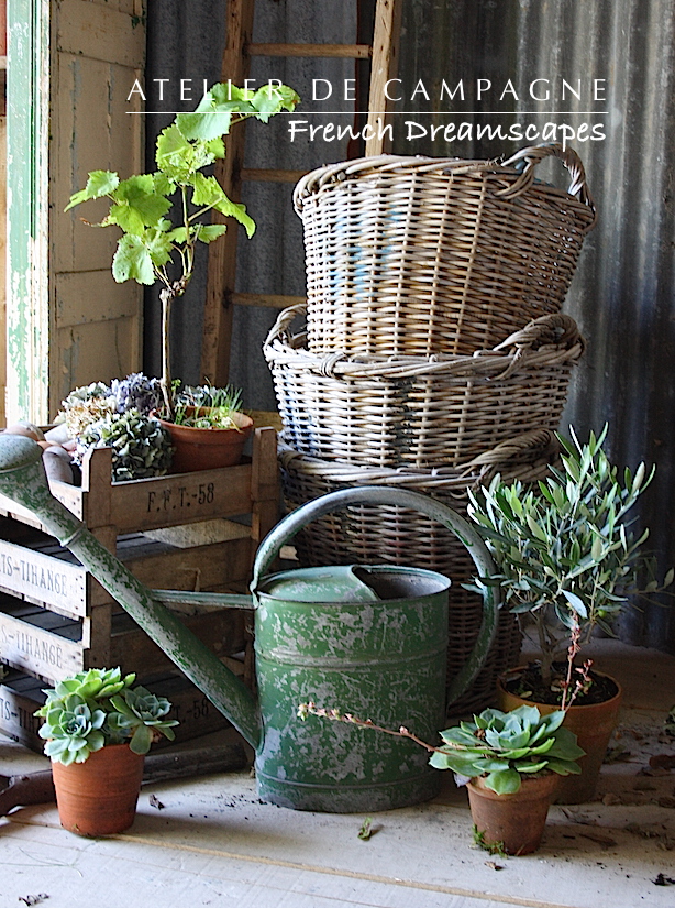 #26:038 BLOOM BULB BASKETS.jpeg