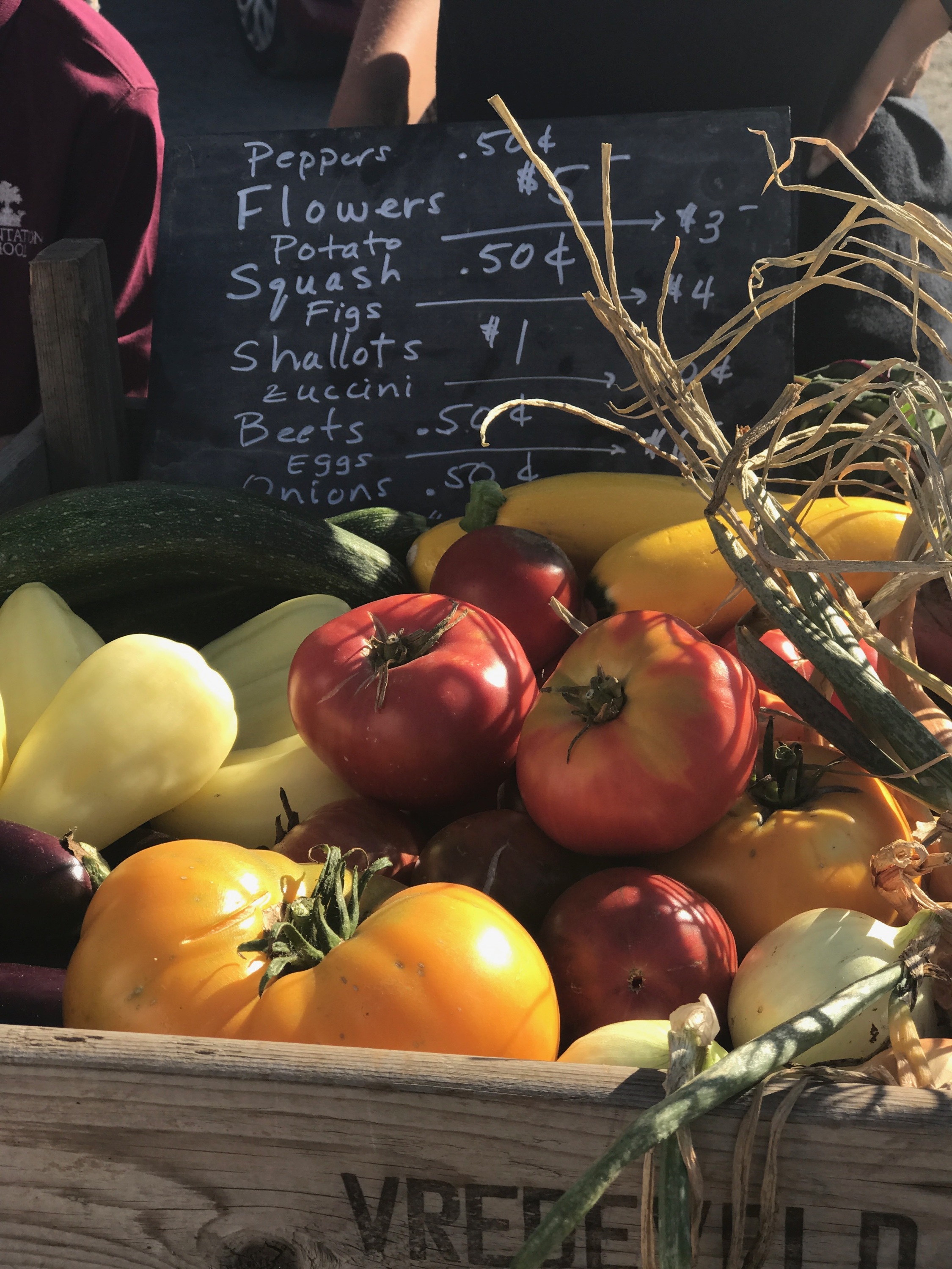 Sonoma Farmer's Market | 5th Street Farm | ChateauSonoma.com