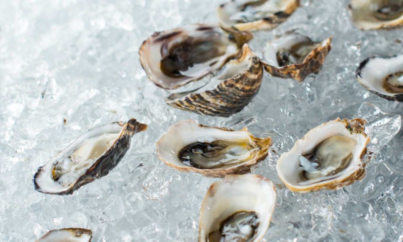 Where to get Oysters in San Francisco, Tomales Bay, Hog Island, Marshall Store, Chateau Sonoma, The History of Oysters