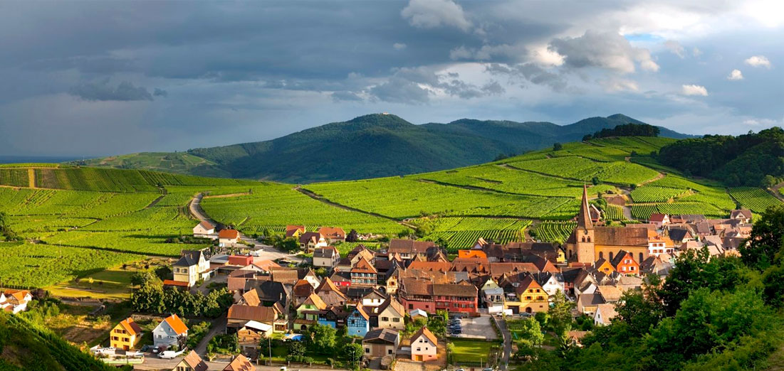 Alsace France, Wines of France, Bastille Day, Wine and Food, French Antiques, Flea Market Finds, Sonoma Events, Food and Wine