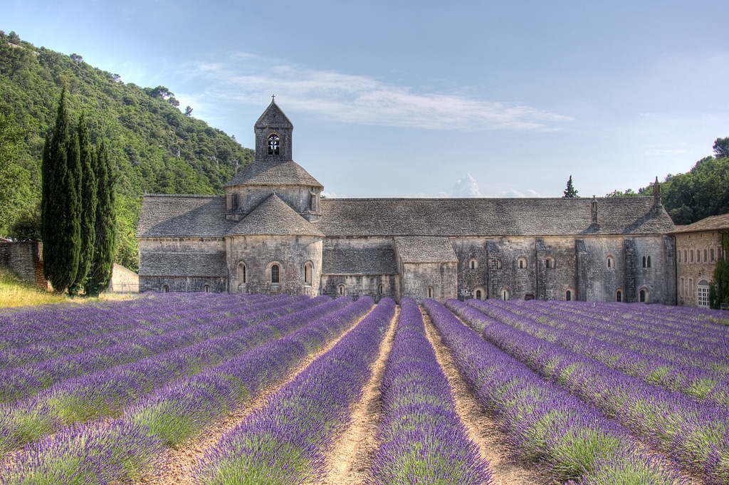 Provence, Lavender in France, Chateau Sonoma, Bastille Day