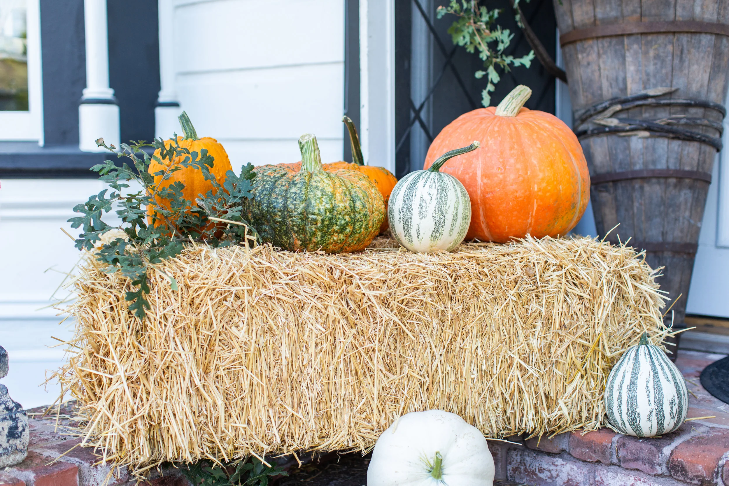 Chateau Sonoma, Sonoma, California, Antiques, Home Decor, Fall, Autumn, Farm, Chateau Sonoma Farm, Pumpkins, Fall Decor, Pumpkin Patch, Wine Country, Cornerstone Sonoma