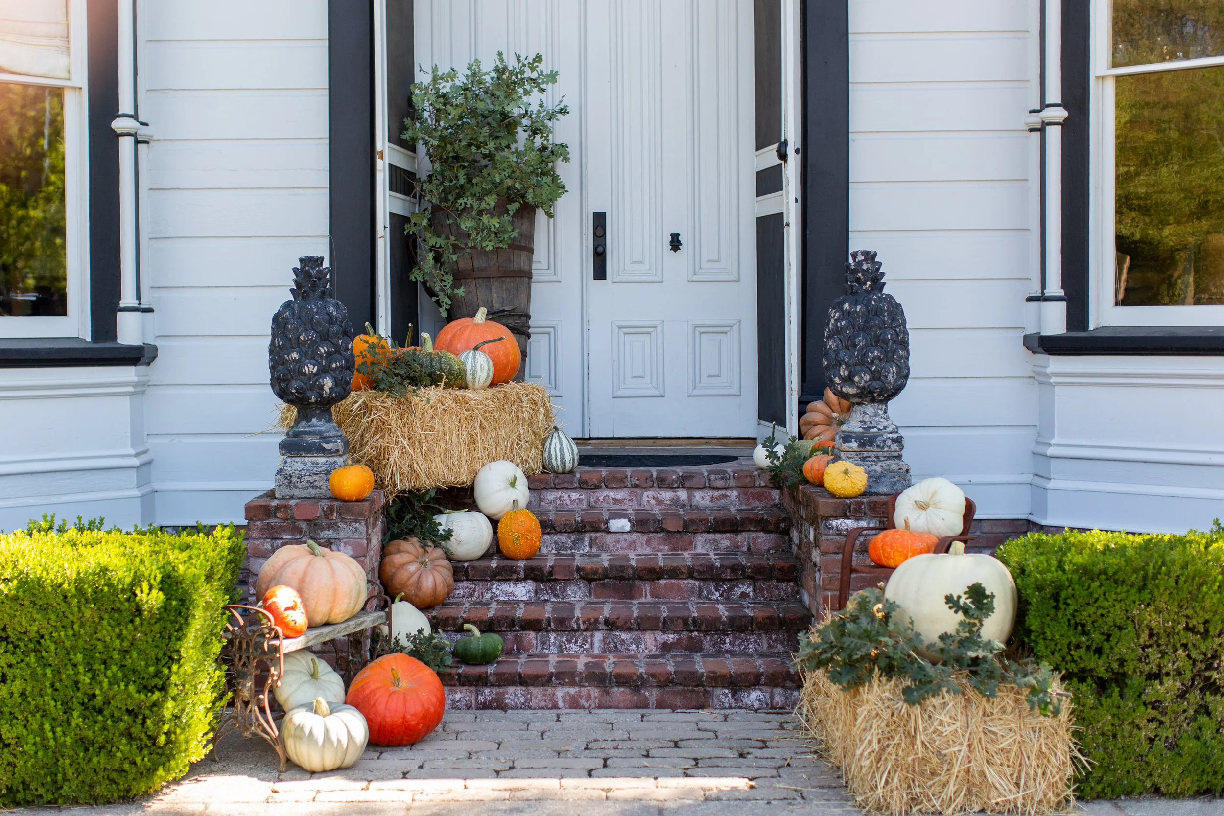 Chateau Sonoma, Sonoma, California, Antiques, Home Decor, Fall, Autumn, Farm, Chateau Sonoma Farm, Pumpkins, Fall Decor, Pumpkin Patch, Wine Country, Cornerstone Sonoma