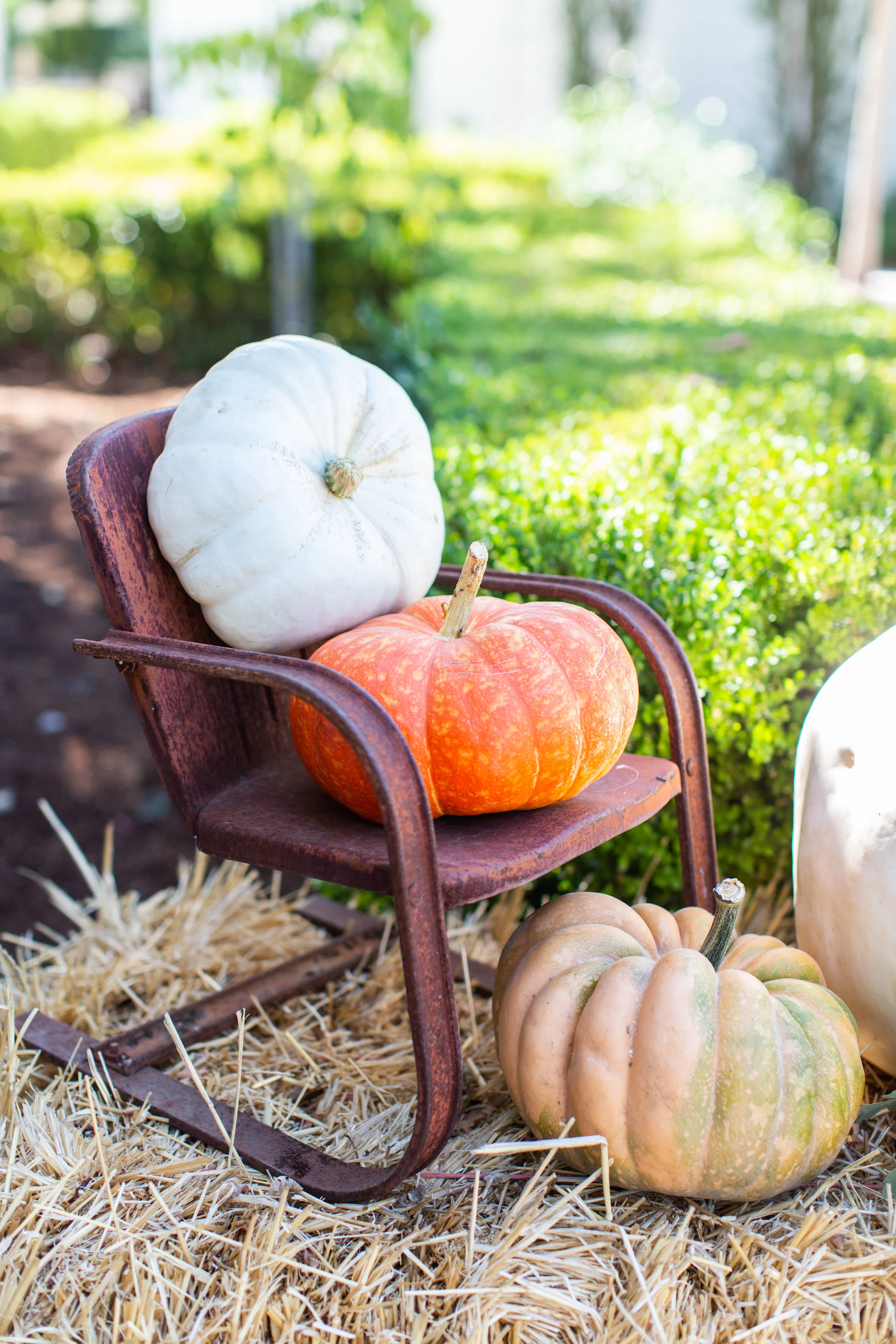 fall-34.jpg