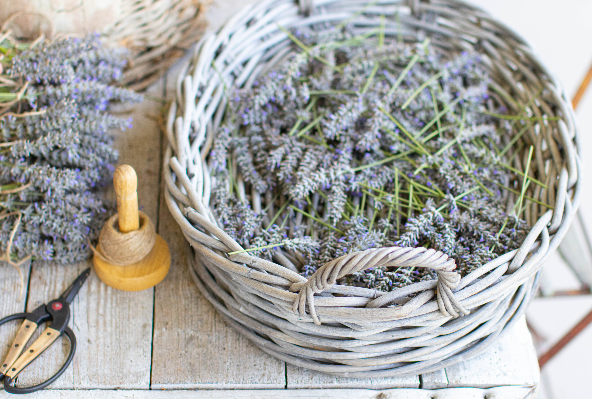 Chateau Sonoma, France, French Antiques, Self Care, Lavender, Self Love, Sonoma, California, French Lifestyle, French Inspired, Self Care Practices