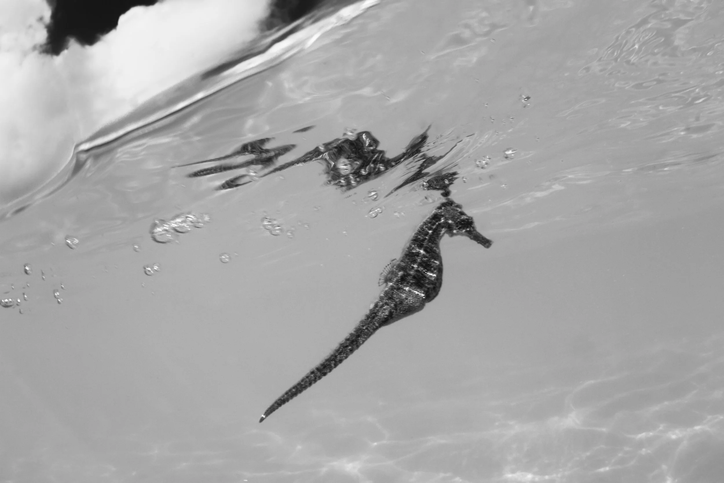 IMG_0337-Edit-Edit.jpg