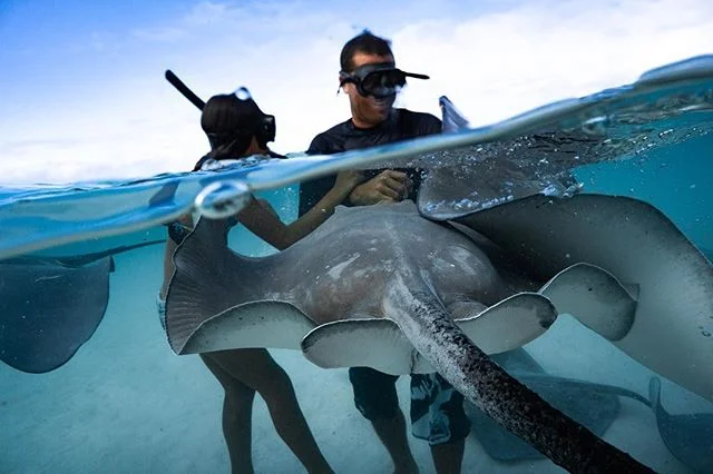 Father and daughter bonding moments 💙 // Pierrick of @mooreamoanatours with his daughter Kailani spending time with the rays in their backyard.