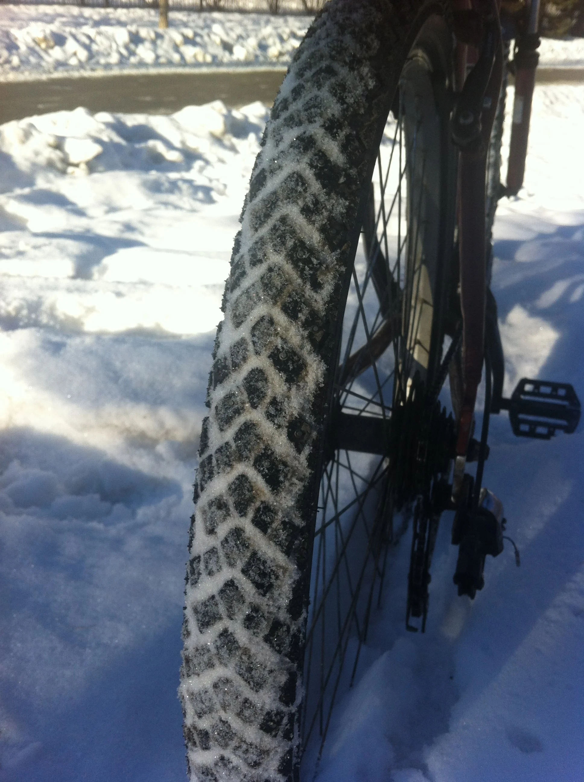 First Impressions: Schwalbe Winter Marathon 26 x 2.00
