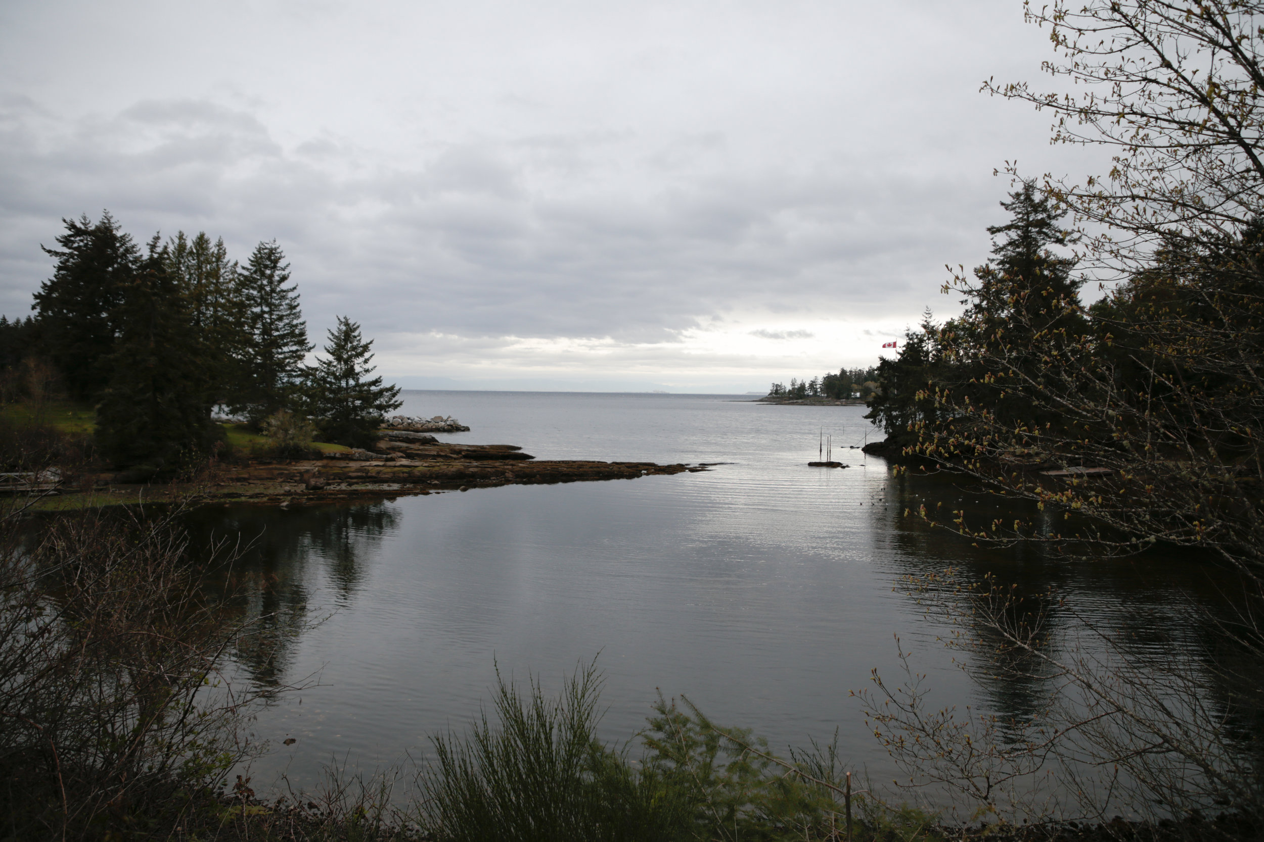 Galiano Island by Bike — DBC