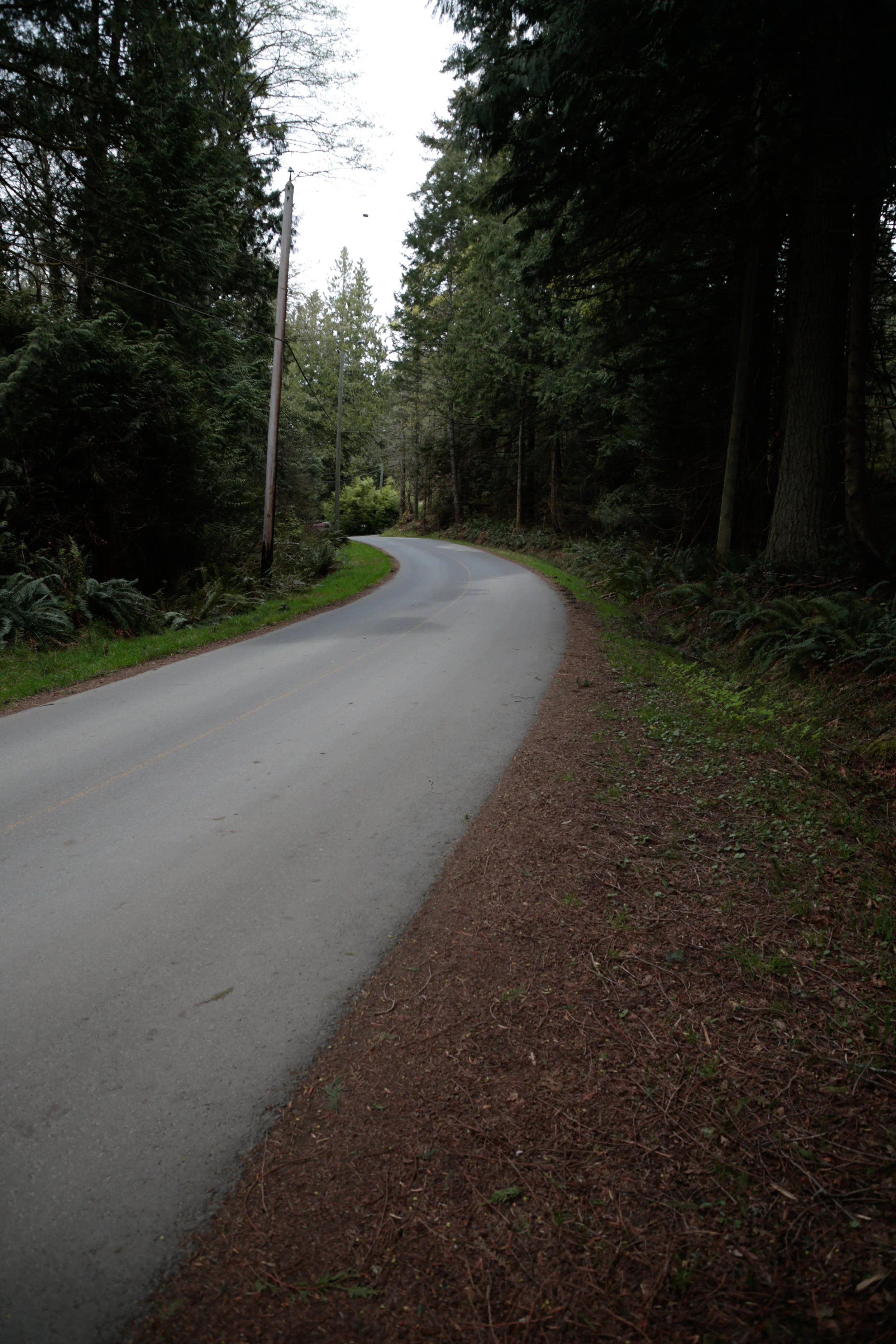 Galiano Island by Bike — DBC