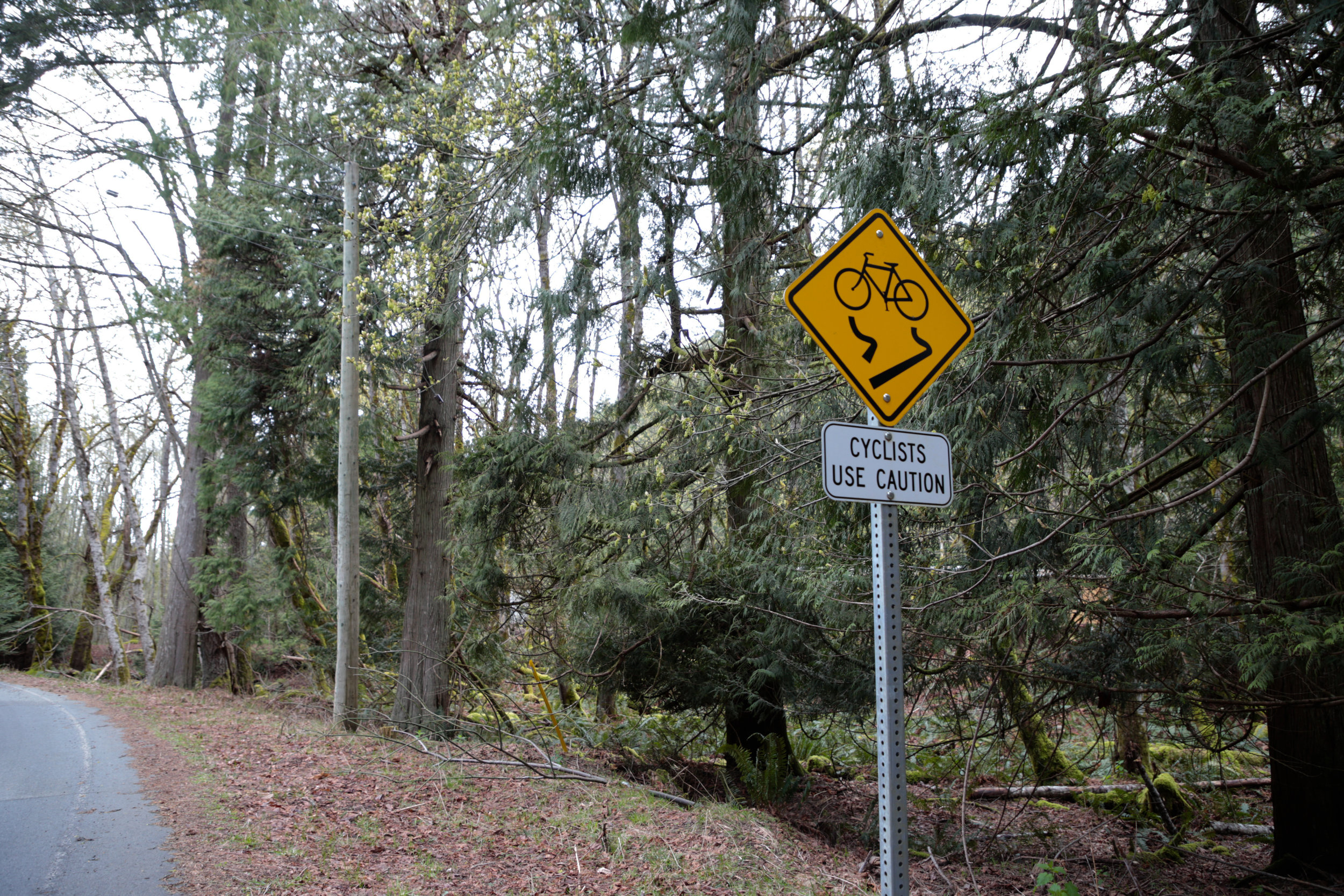 Galiano Island by Bike — DBC