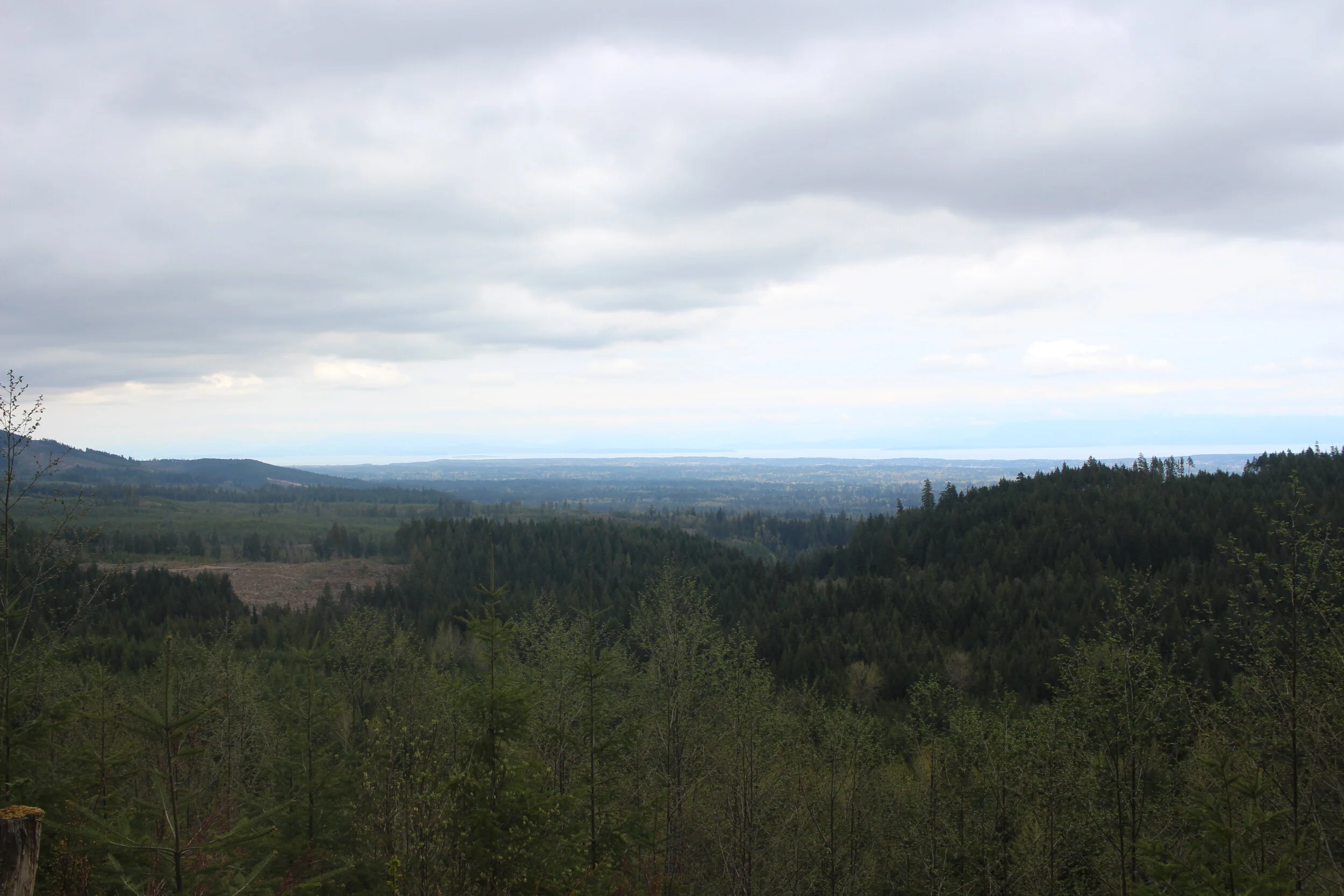 A Reintroduction to the Mountains