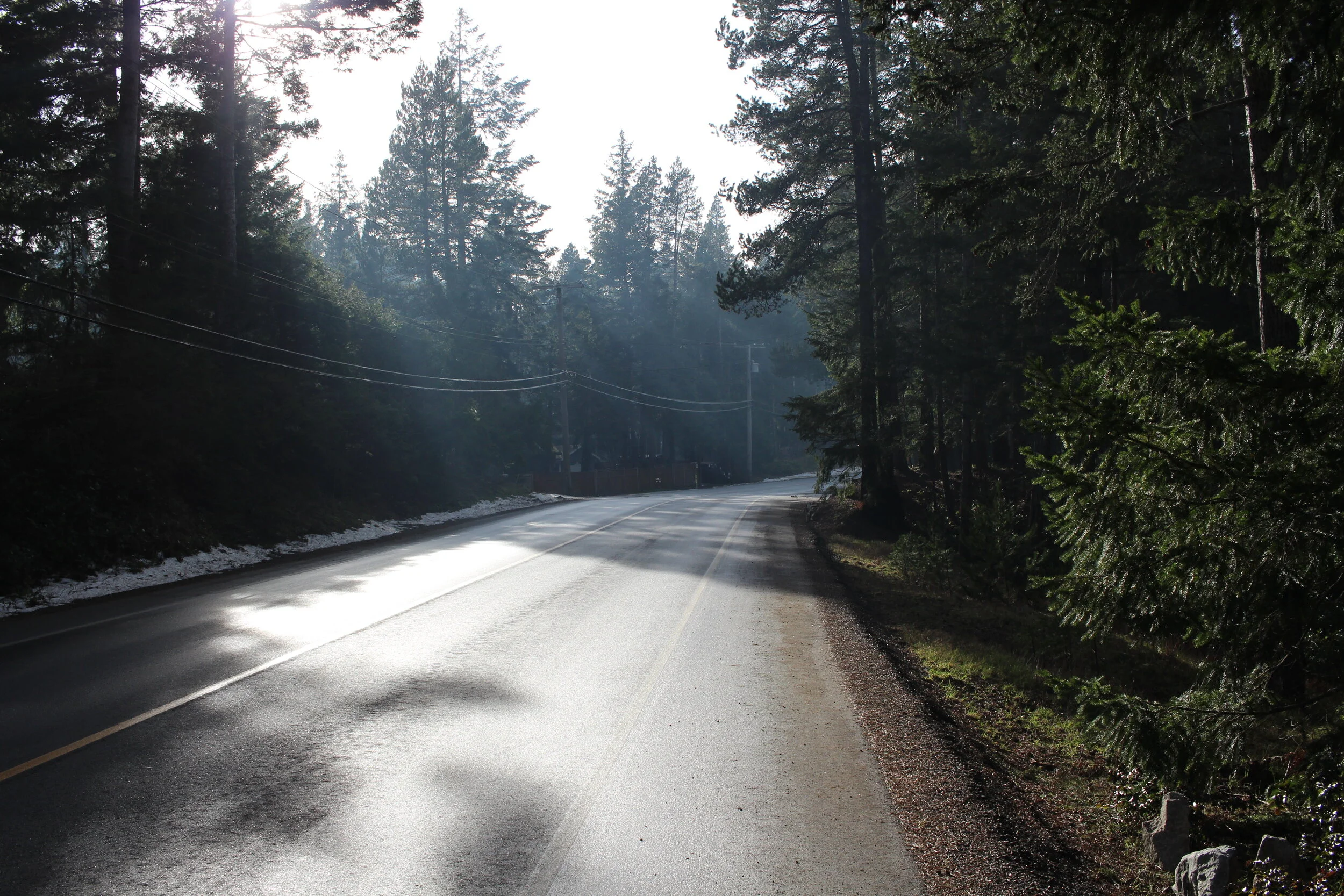 Comox Loop: An intro to Dirtbag Cycles Route of the Month