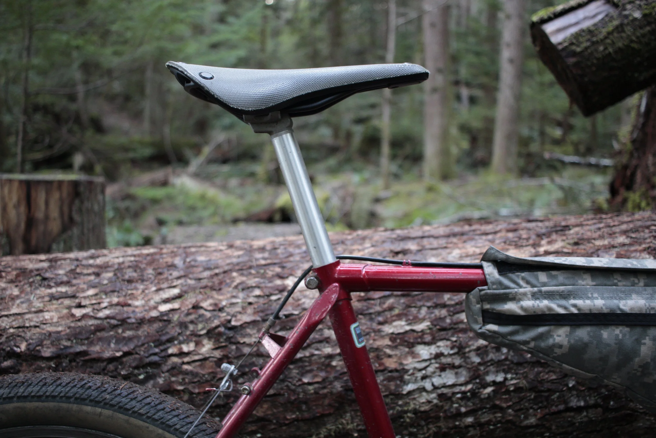 Brooks C-17 Cambium