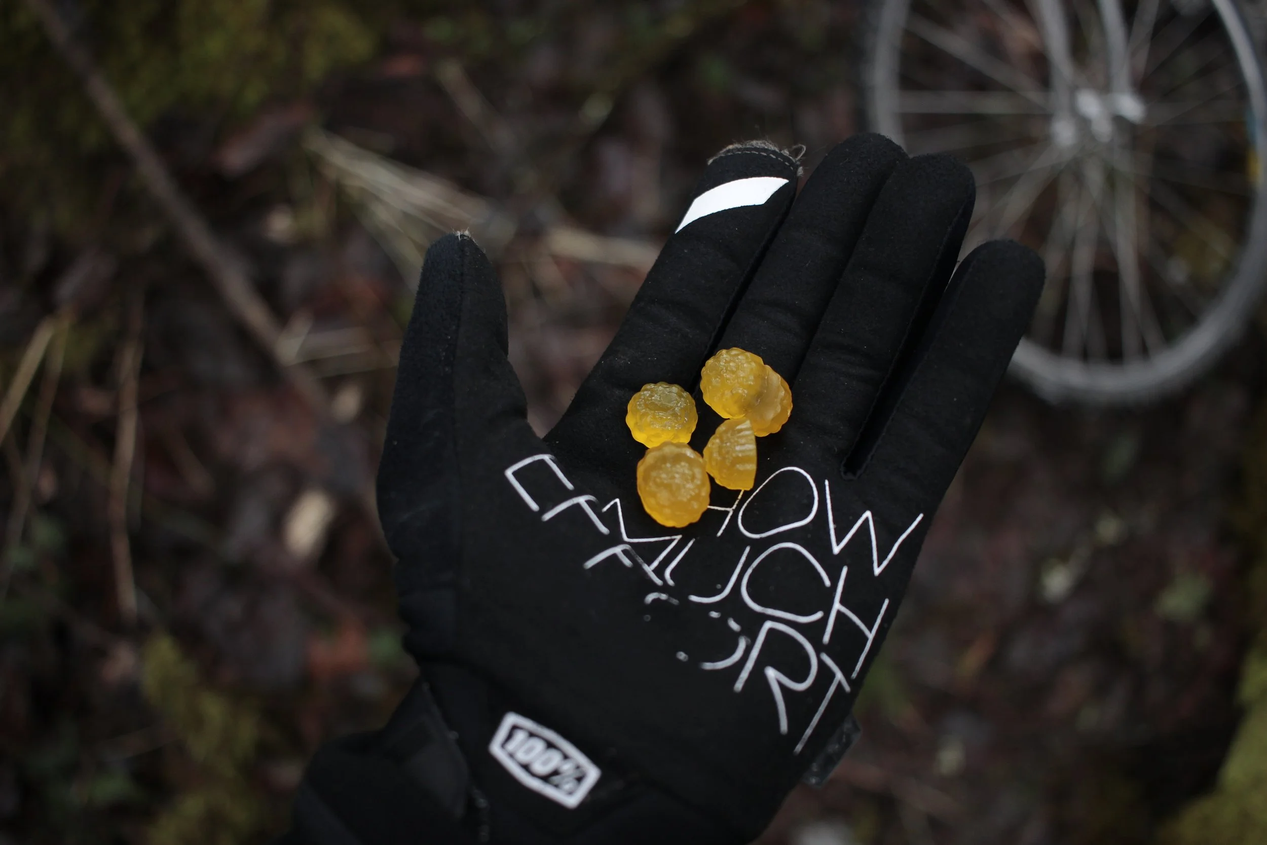 100% Brisker Gloves