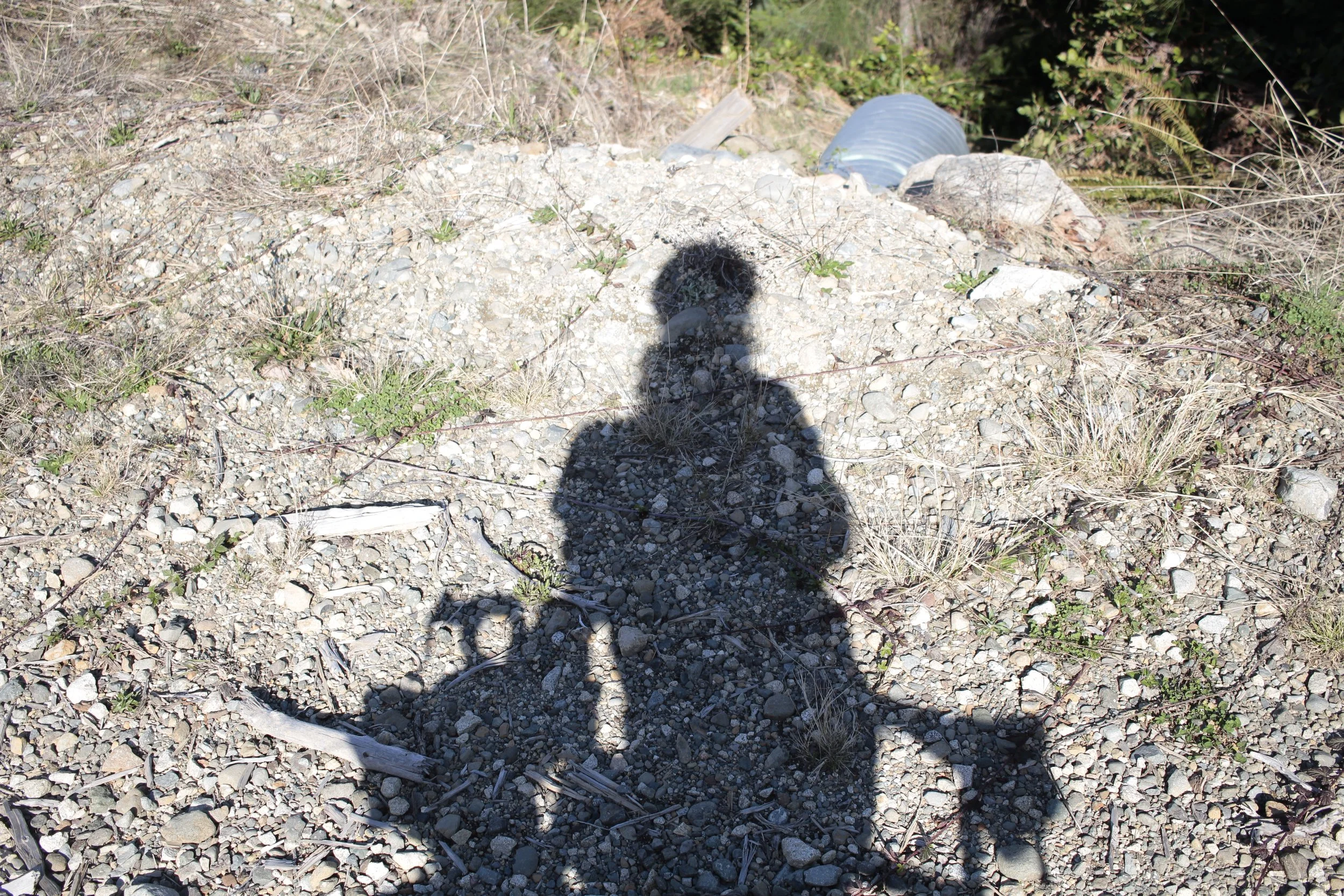 2023 Waiver and Sign Up