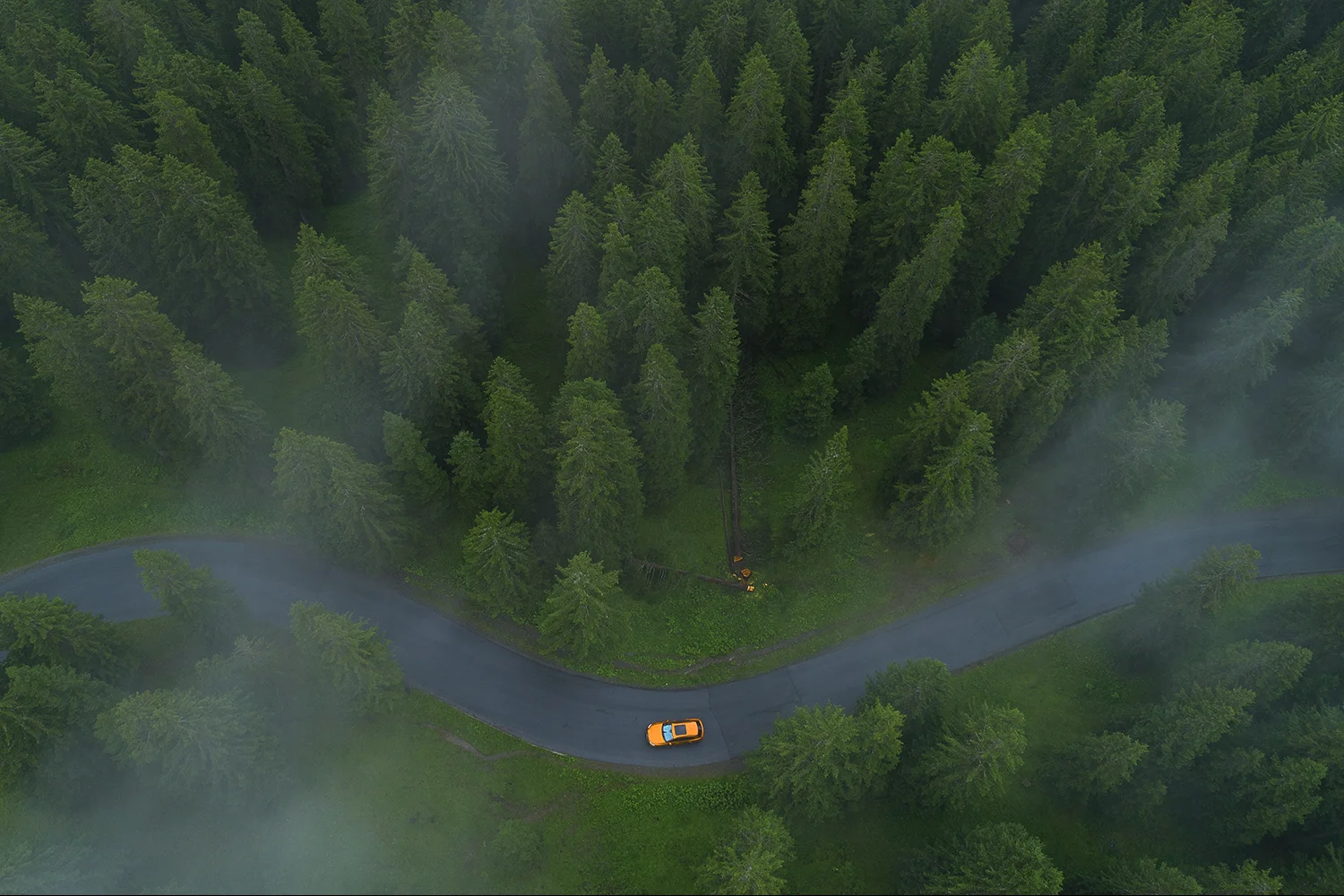 DJI_0351.jpg
