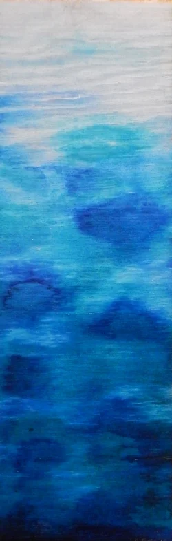 Shallows