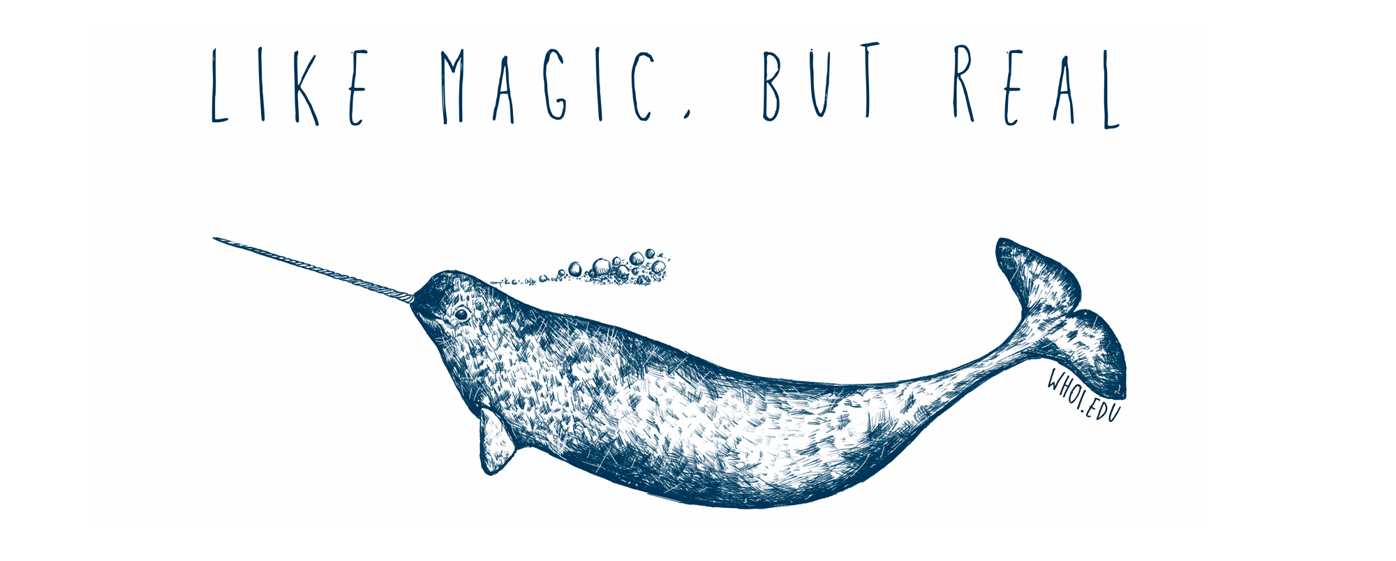 Narwhals like magic, but real