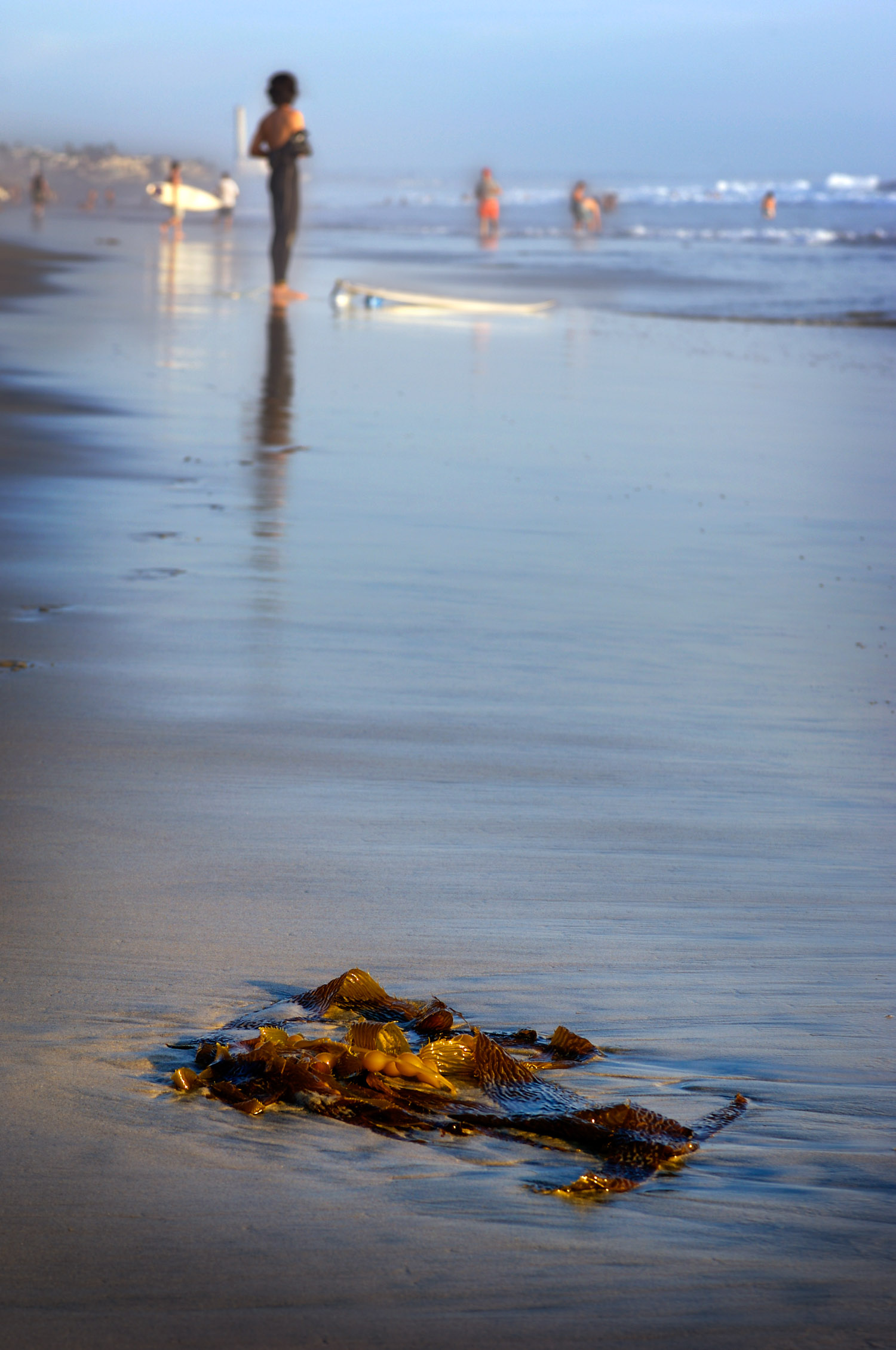 Oceanside