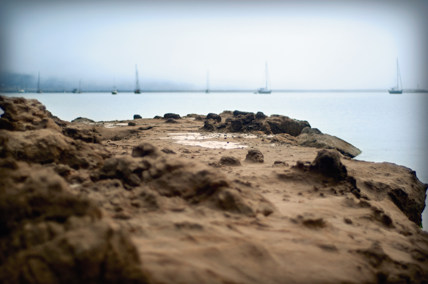 2010-09-03-PrincetonHarbor-161-Edit-Edit.jpg