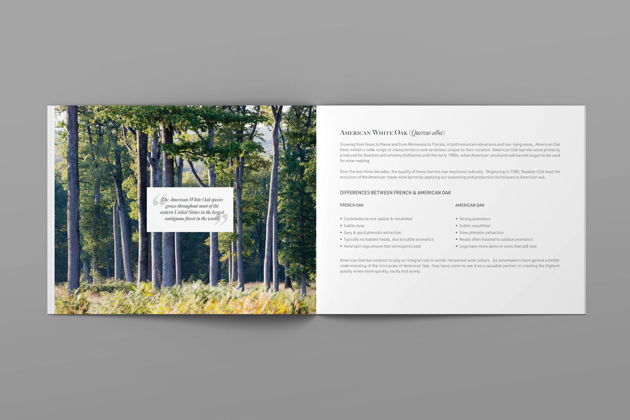 American Oak Range Brochure