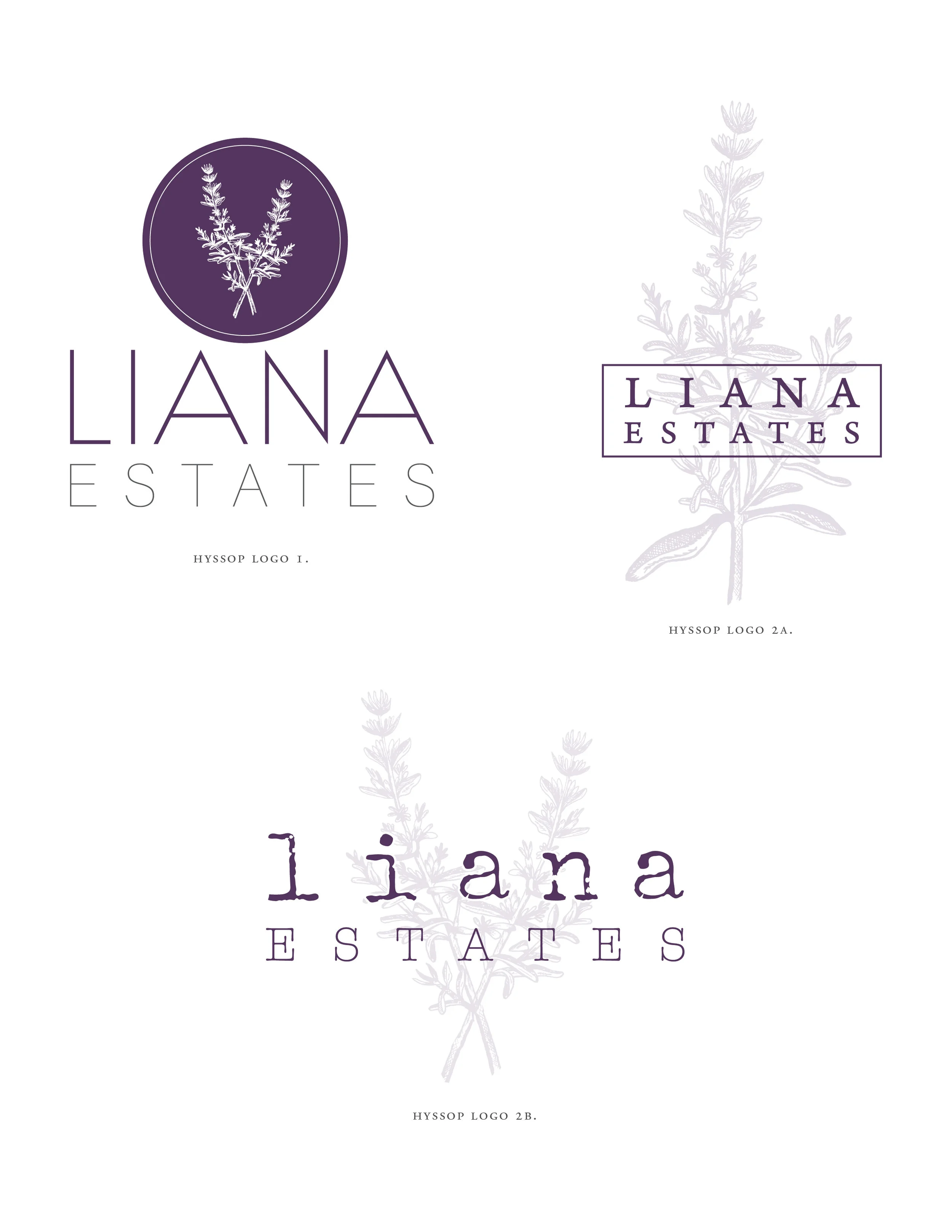 Logo Development From there the sketch was digitized and converted to a vector graphic for layout in Illustrator. Based on meetings and shared Pinterest boards, color scheme and logo options were developed. ˙