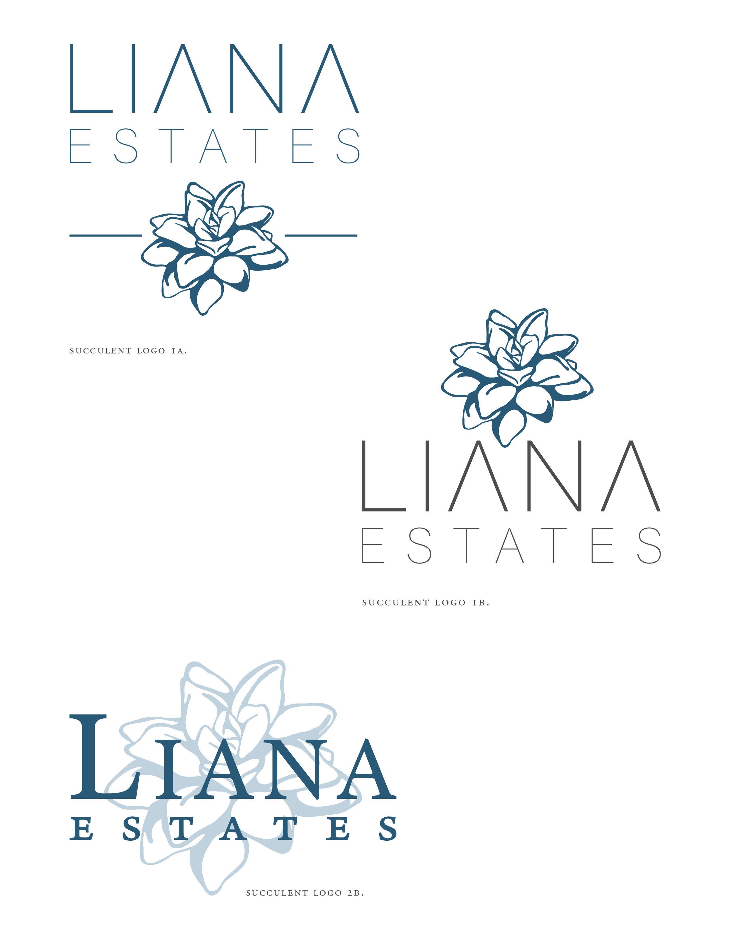 Options! Options! Options! For a client that has a very vague idea of the aesthetic they are looking to build on, having lots of options can help them narrow things down. Seeing what you don’t want will always (eventually) lead you to what you do want. Here we have some options for logos that were presented.