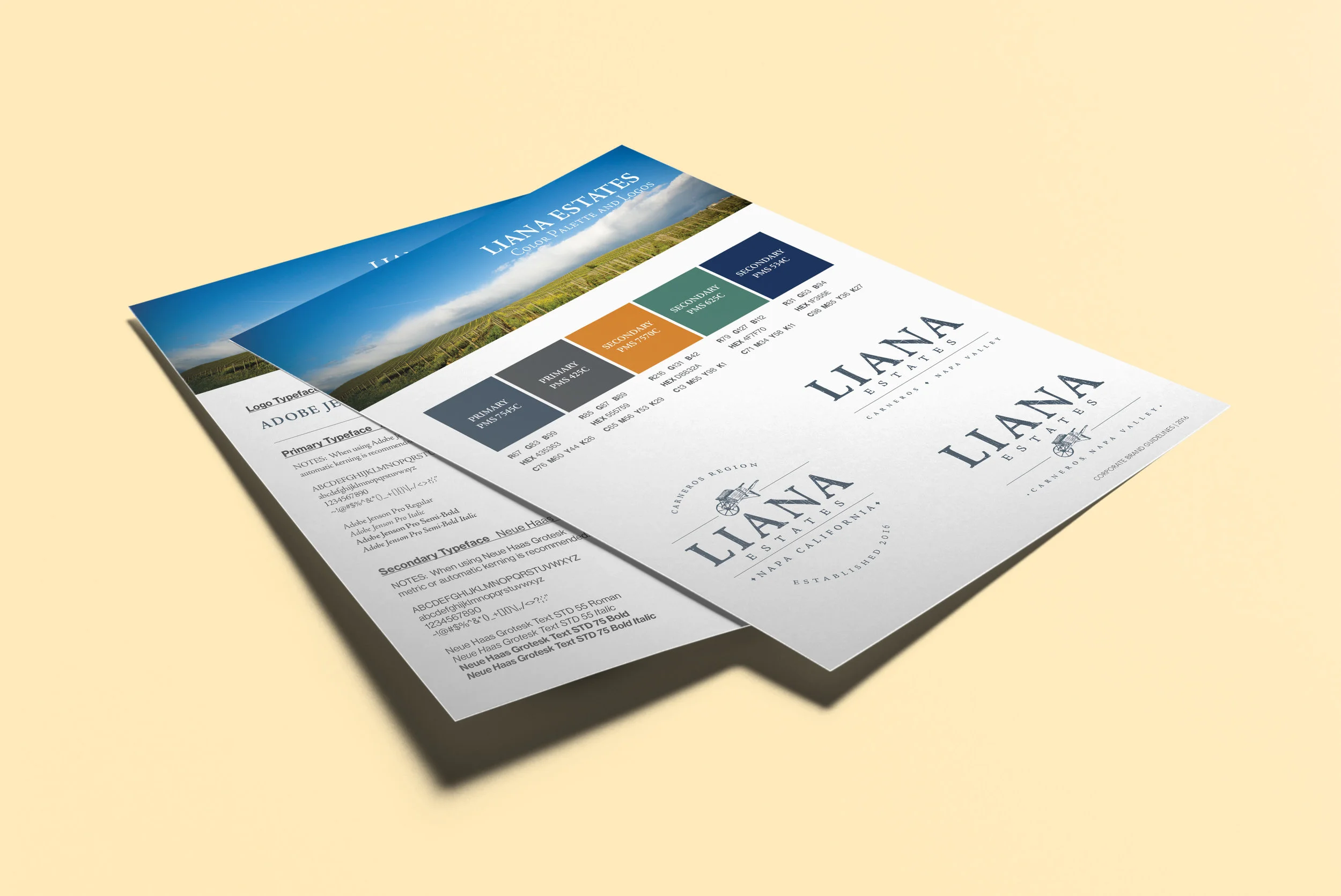 Liana_03-flyer-letter.jpg