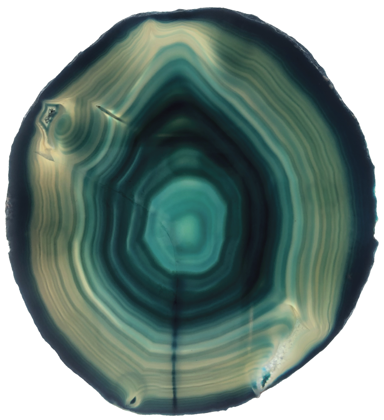 GEODE SLICE COASTER This coaster sits on my desk and I decided to photograph it illuminated on a light table after photocopying and scanning it failed miserably. I was able to take the illuminated photograph and vectorize it for use as a logo element in this concept, representing the rings of a tree, the contour lines of a topographic map, the greens and teals of the forest and rivers.