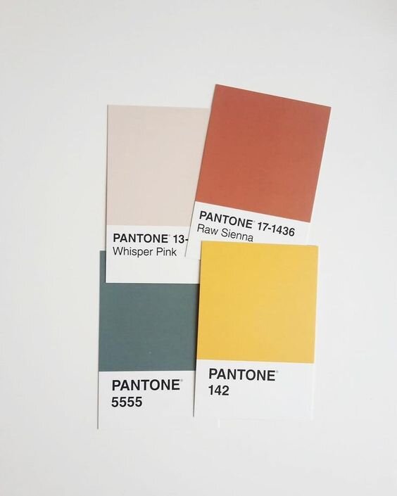 COLOR PALETTE INSPIRATION This is an image from one of the pins Ainslie added to our collaborative Pinterest board. It as a great starting point for developing color palettes for both this concept as well as others to be presented.