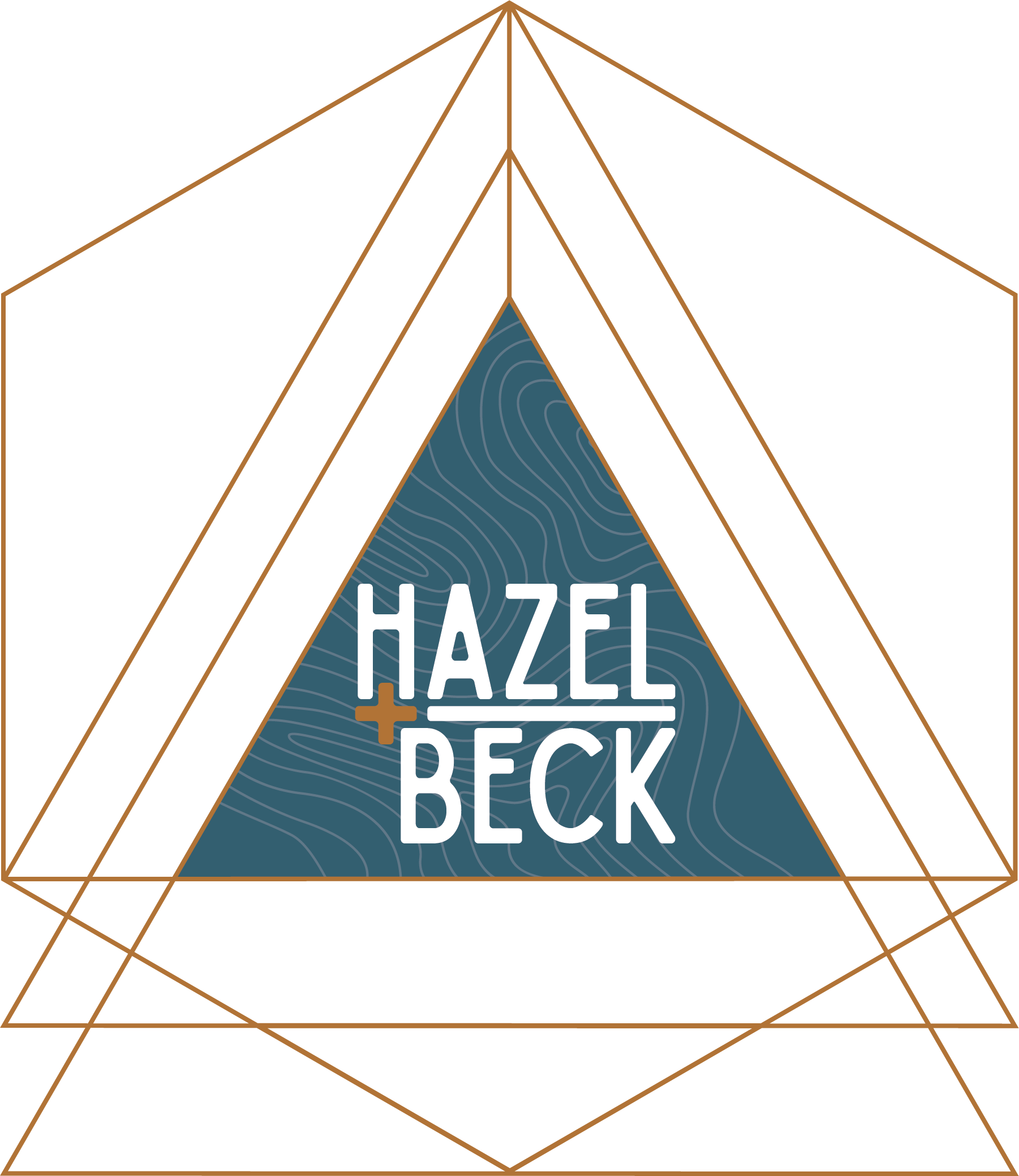 ALTERNATIVE / SECONDARY LOGO From the first round of client presentations: Again, simplifying the primary logo, we still have a strong iconic graphic to work with. The topographic motif along with the geometric shapes will lend themselves to a multitude of digital, print and environmental applications. This version can be further simplified to the center triangle and/or converted into a circular shape for icon use as a favicon or for social media applications.