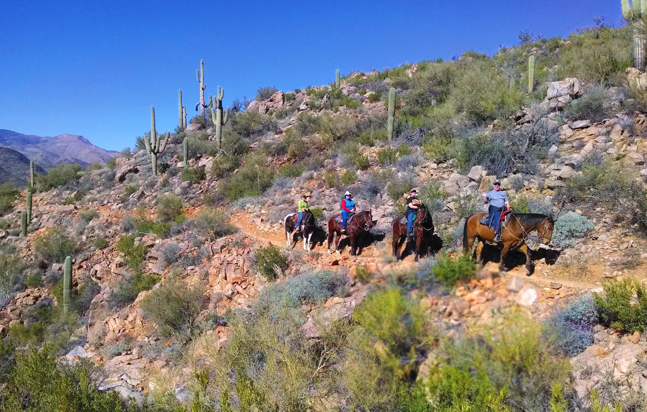 Guided Trail Rides
