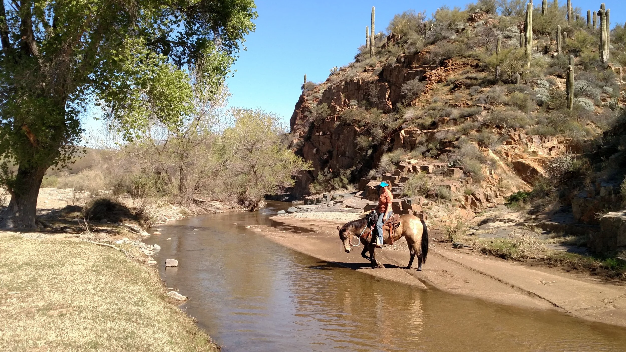 South Bound Trail