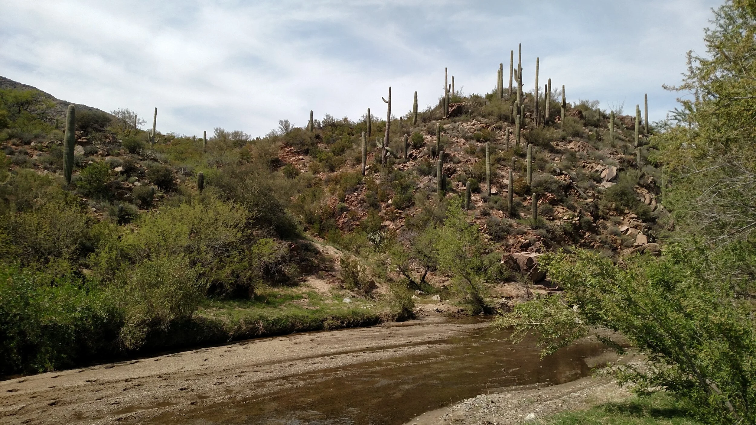 South Bound Trail