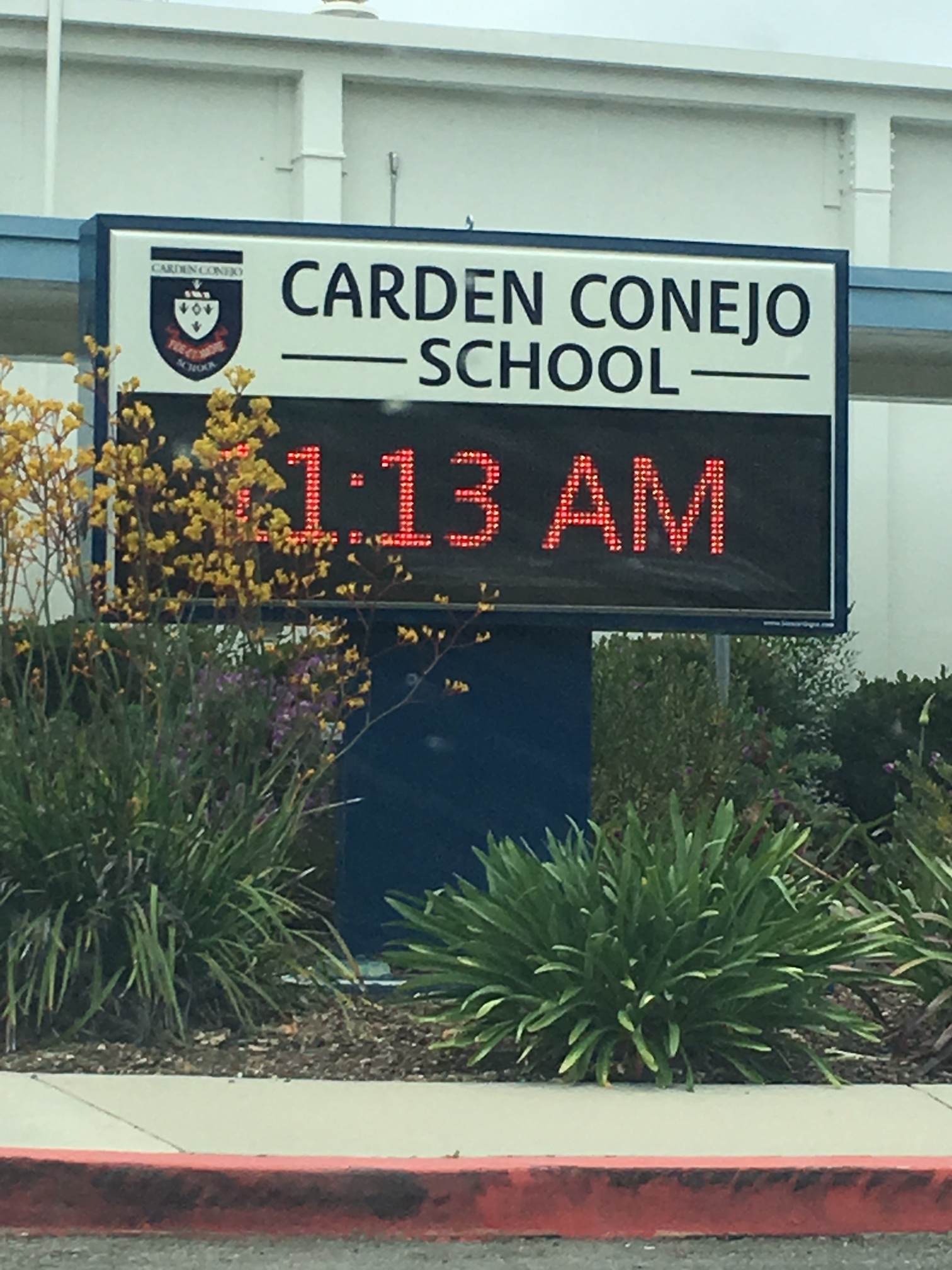 Hello Carden Conejo!!