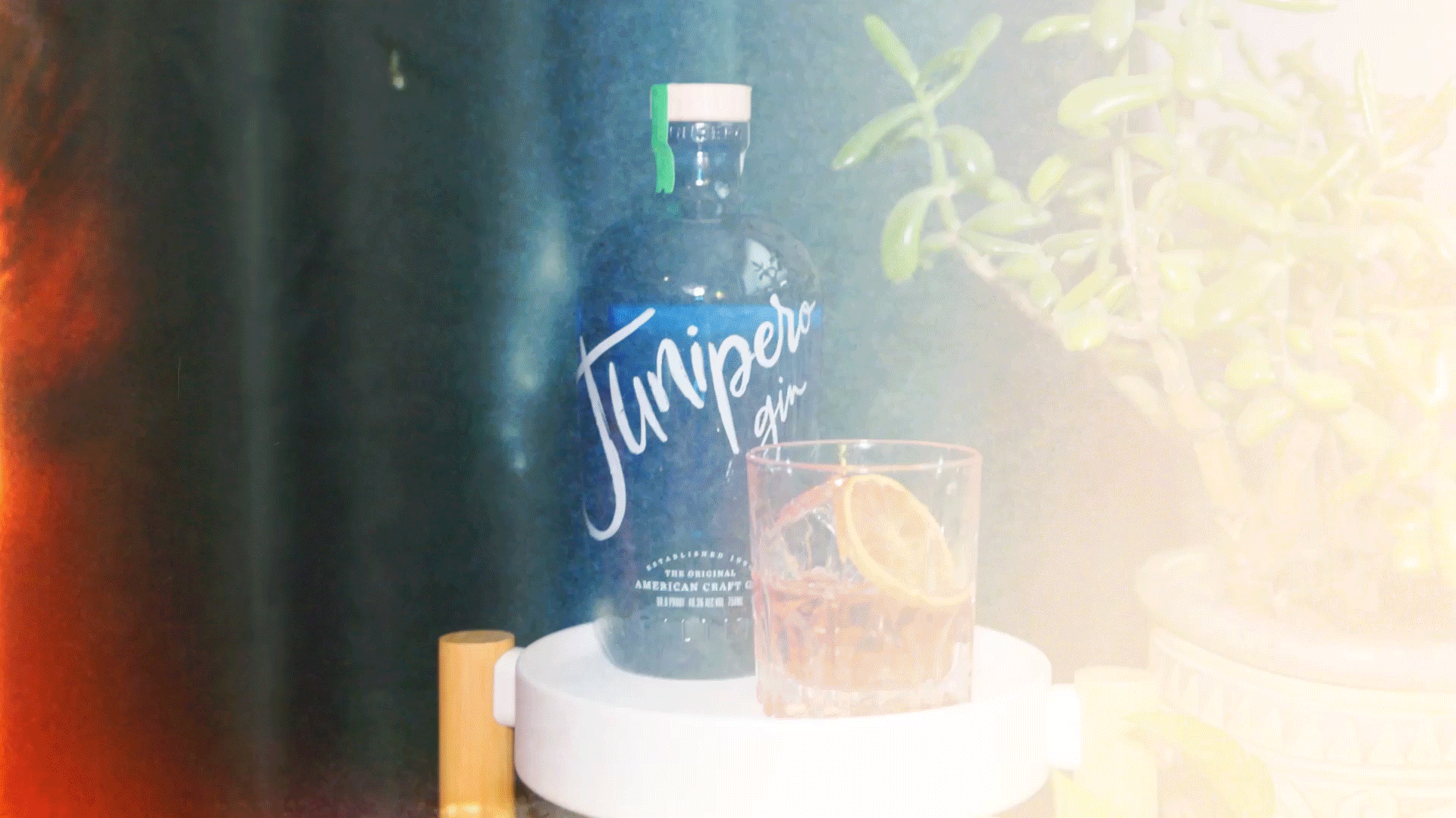 Juniper-cut.gif