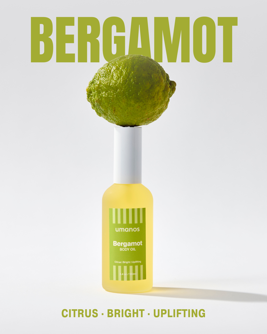 Bergamot 2.png