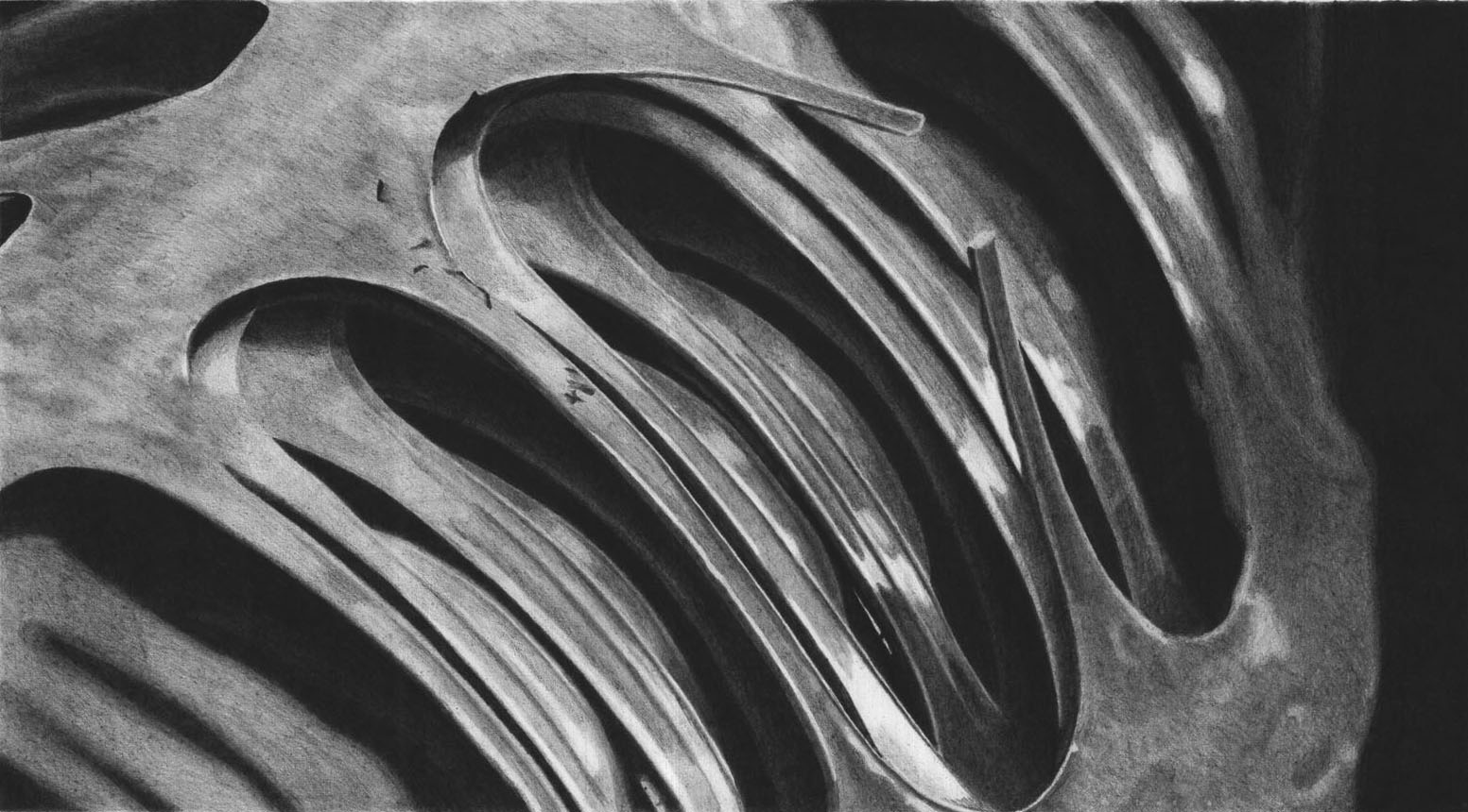 2008 - Graphite - 22”x12”