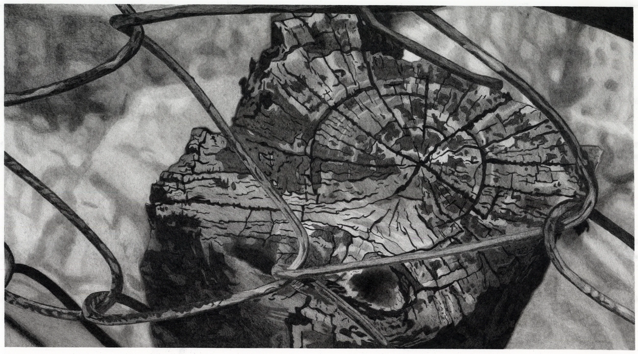 2015 - Graphite - 22”x12”