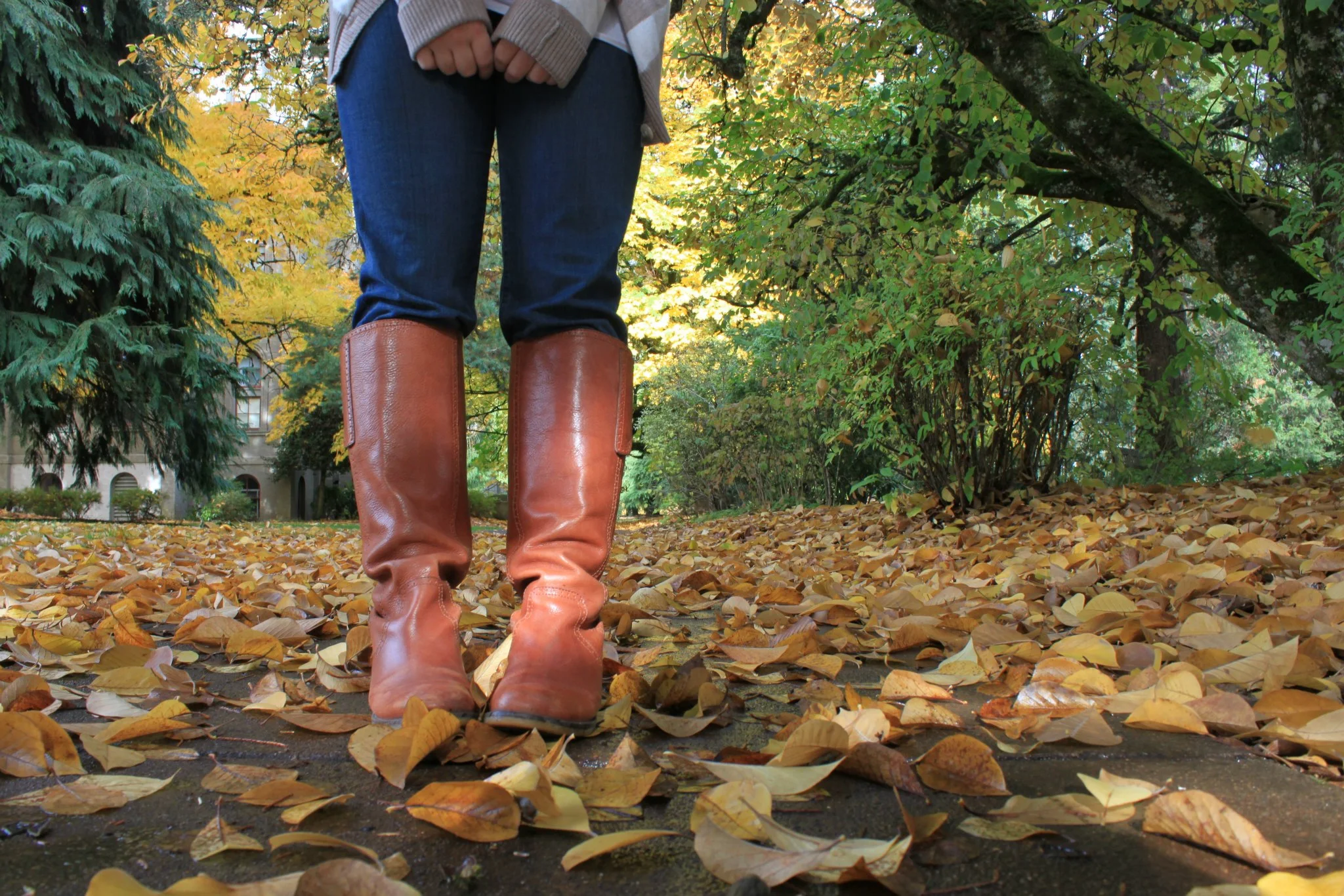 Photograph by Jordan Weiler.