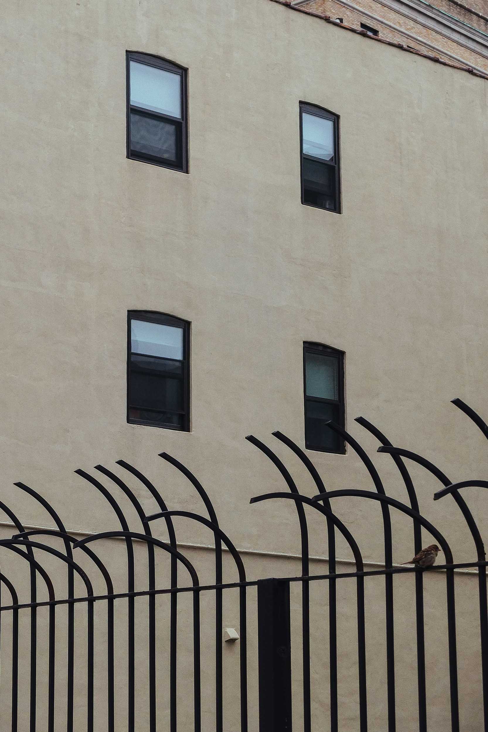 Highwire Web-Optimized-4-2.jpg