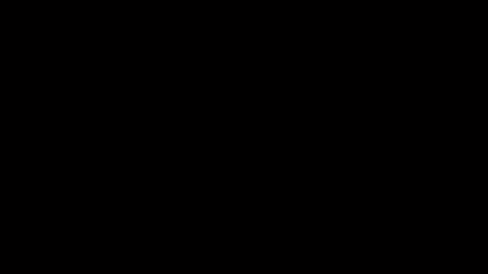 OCADAnim.gif