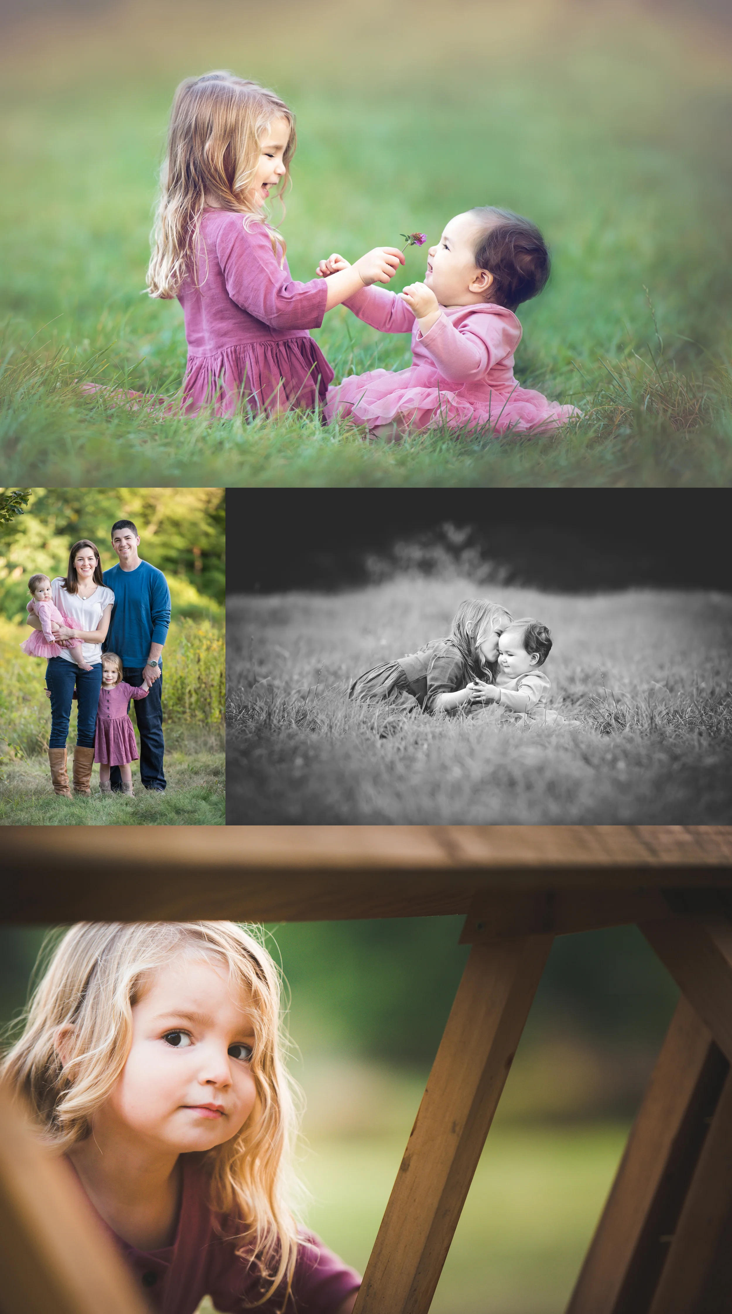 amy drucker westchester new york family photographer