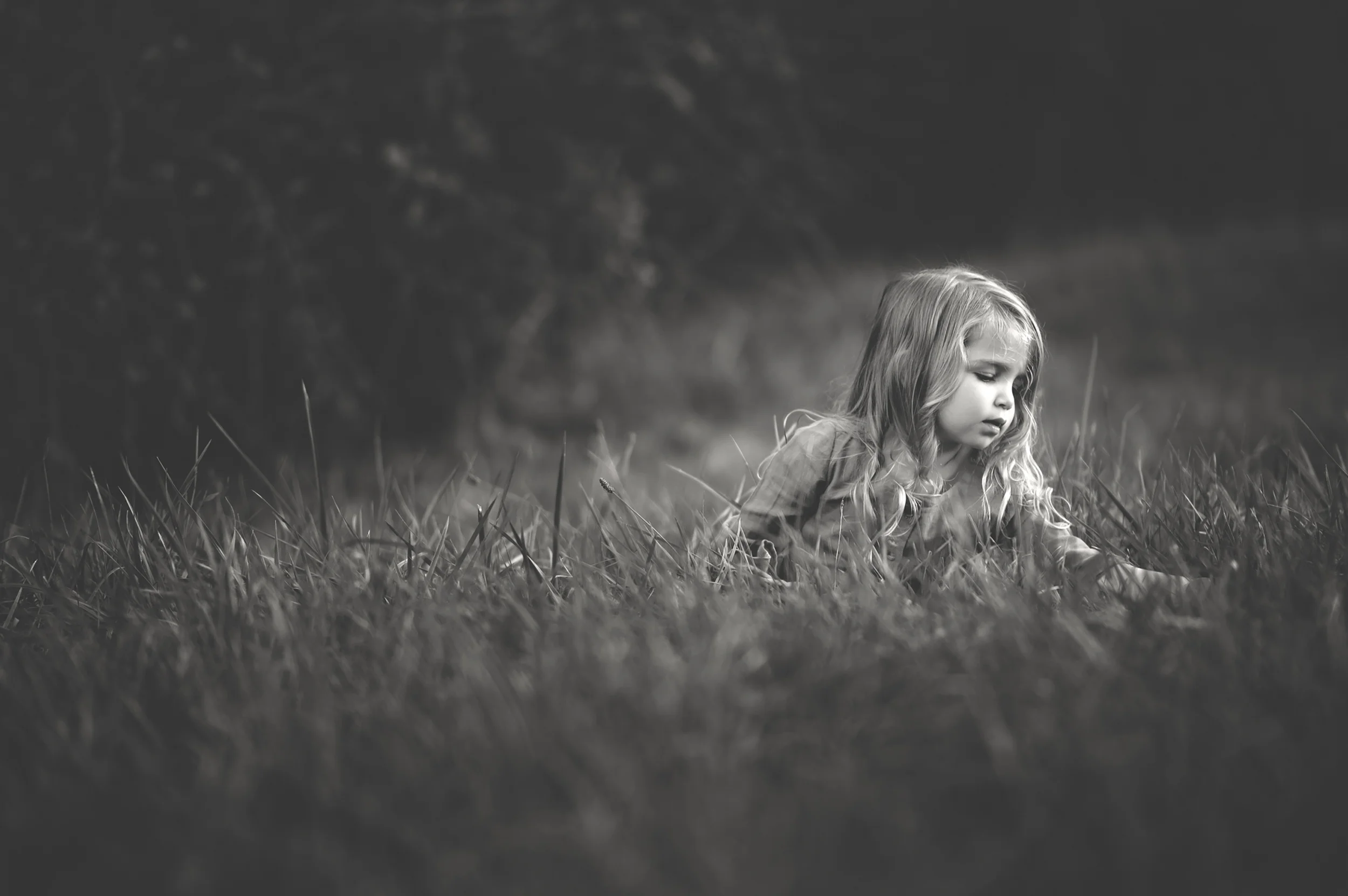 westchester new york family photographer, amy drucker