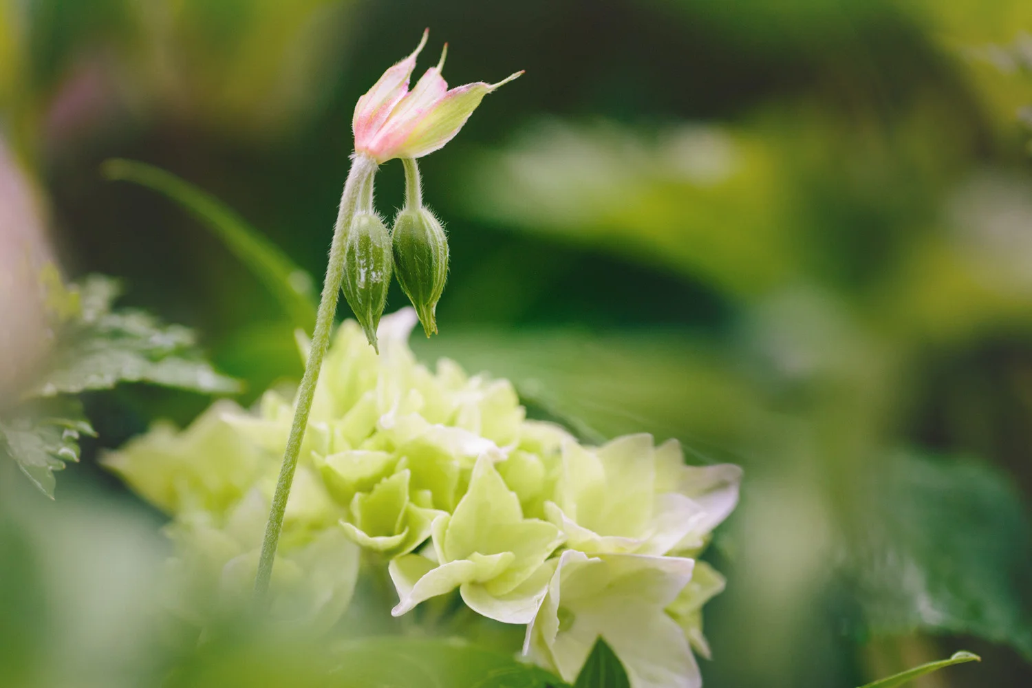 F94A9617-Edit.jpg