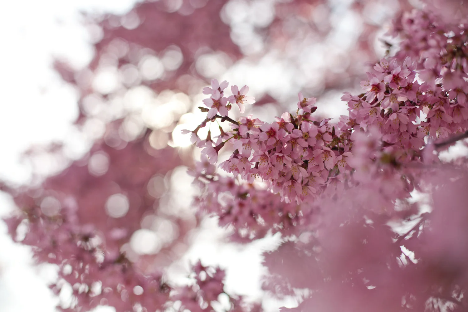 105_365.jpg