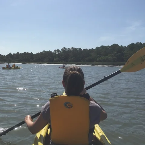 Charleston - In Nature