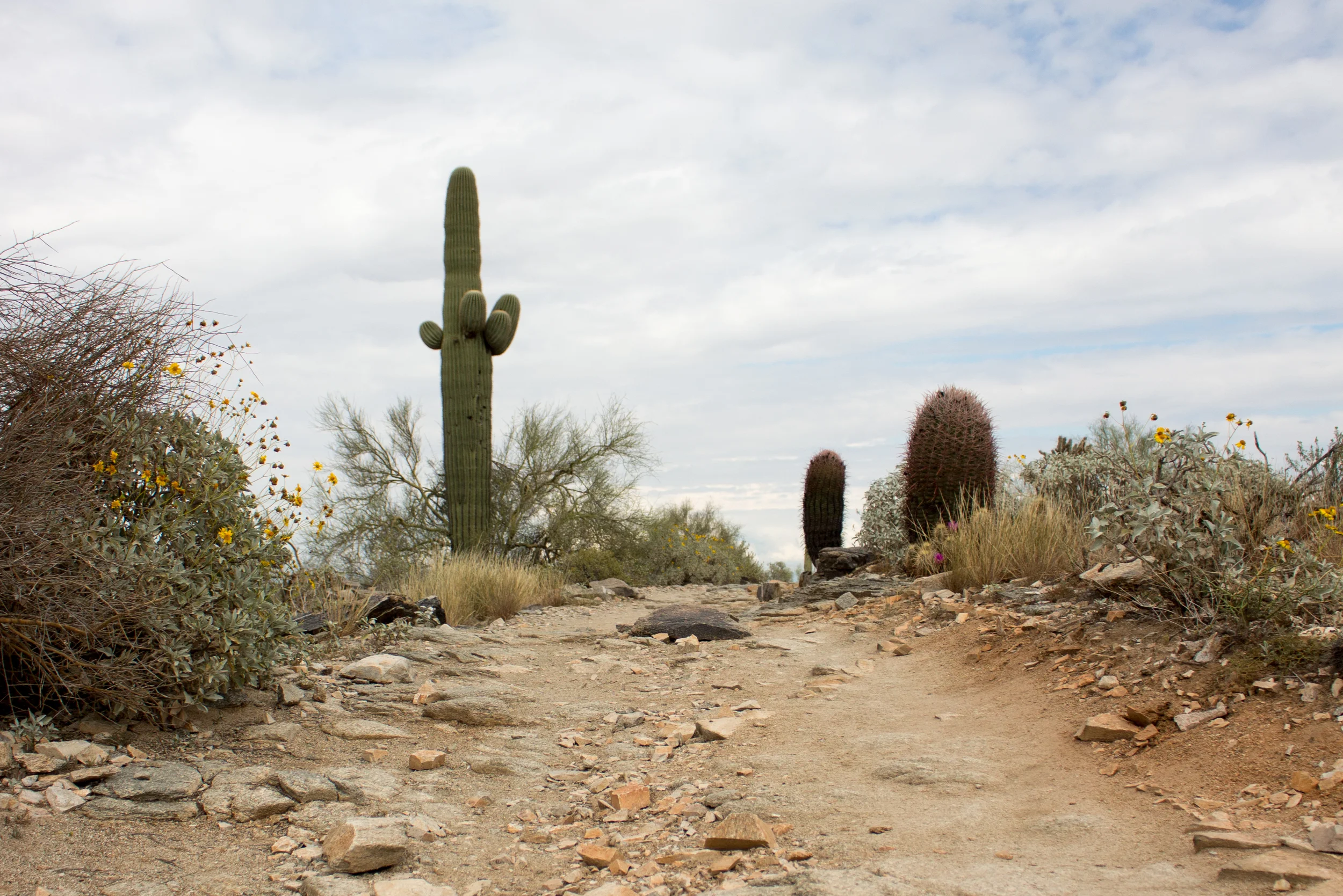 Spring Break Desert Hike